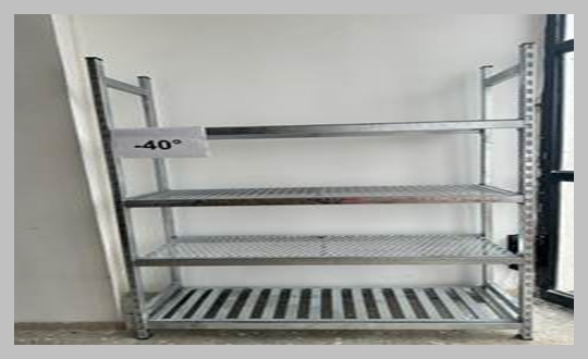 Cold room shelving systems